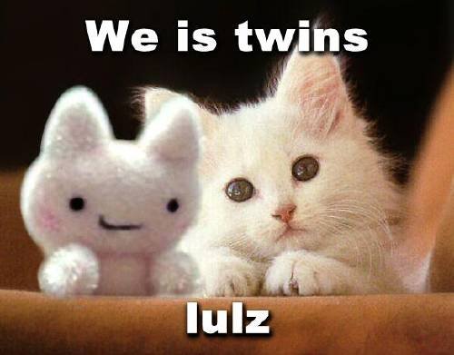 twins. Aww .. Going to copy and paste a message: Post and upload as much as you can this week. We need the traffic to help pay for new features to the site. Support Funnyjunk