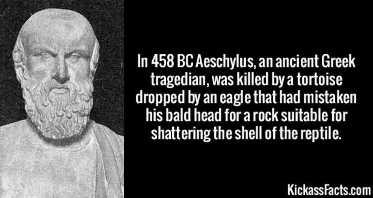 two Crane. .. In 458 BC Aeschylus, an ancient Greek tragedian, was killed by a tortoise dropped by an eagle that had mistaken his bald head for a rock suitable for POOPIN' ON