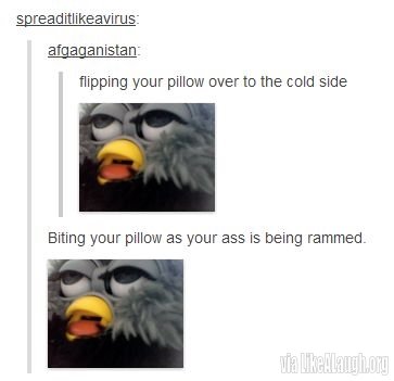 Two kinds of people in this world.. . flipping your pillow over to the cold side Biting your pillow as your ass is being rammed.