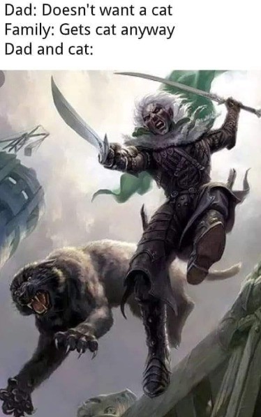 Two peas in a pod. .. The legend of drizzt is a series i highly recommend.Comment edited at .