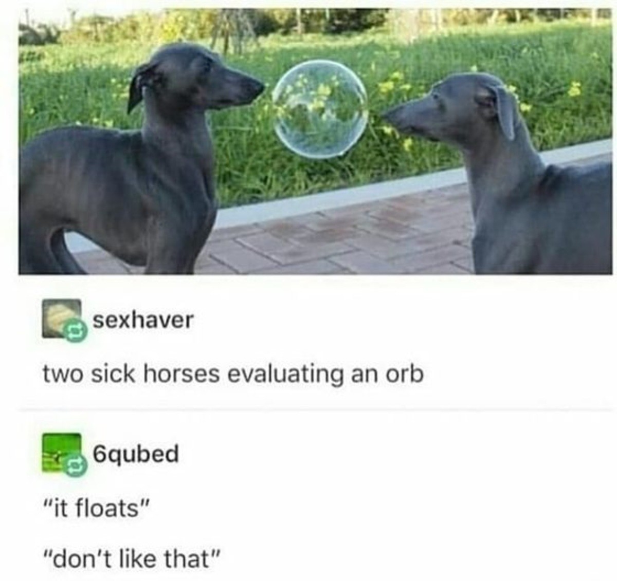 Two sick horses. .. Those are seals, 4chan is retarded.