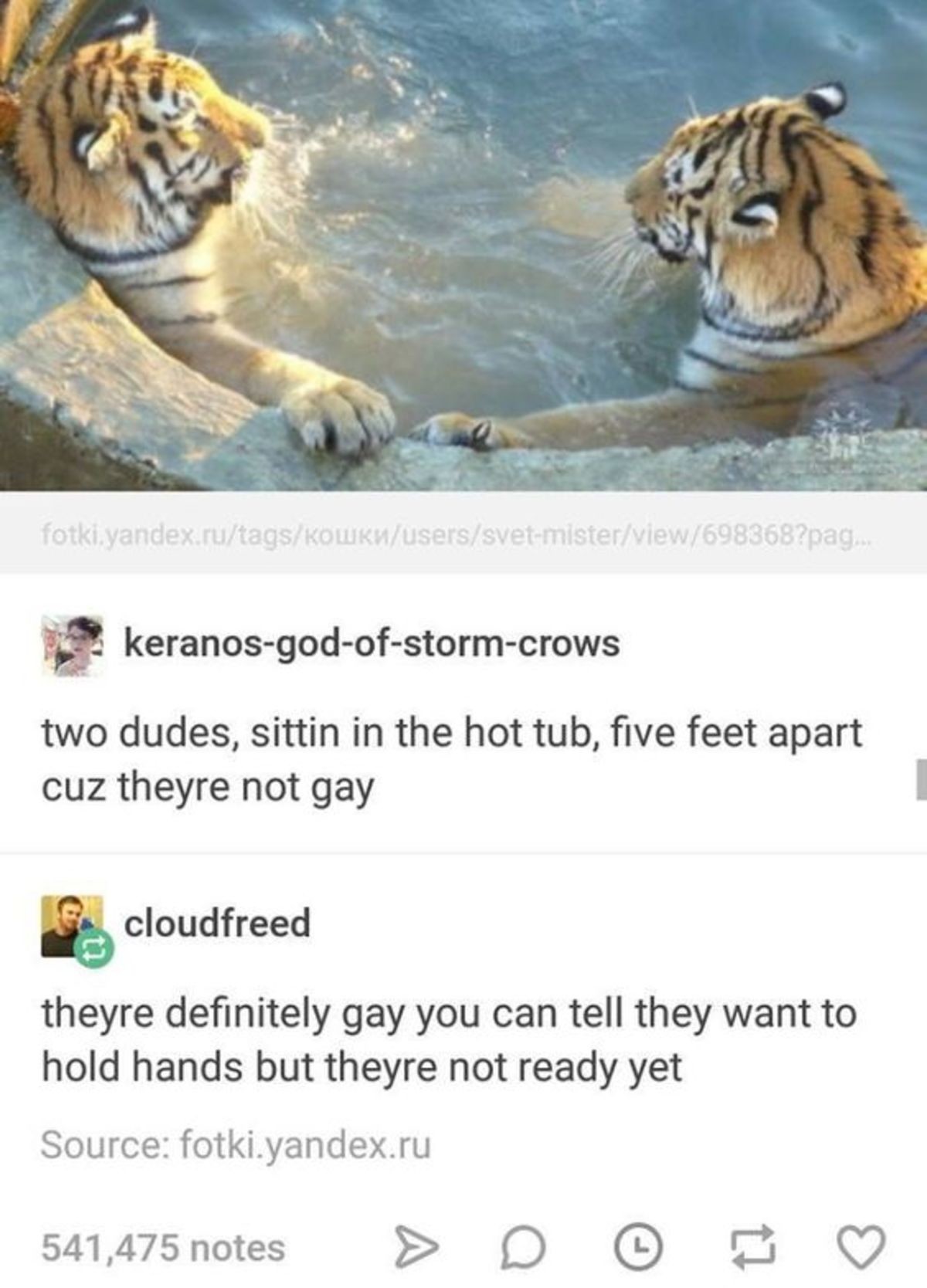 Two Tigers. . two dudes, sittin in the hot tub, five feet apart cuz theyre not gay I cloudfront theyre definitely gay you can tell they want to hold hands but t