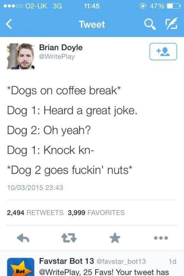 Twoots. . E Brian Doyle i@ Lrntoplay 3 Dogs on coffee break' Dog 1: Heard a great joke. Dog 2: Oh yeah? Dog 1: Knock kn- Dog 2 goes fuckin' nuts' 2, 494 3, 999 