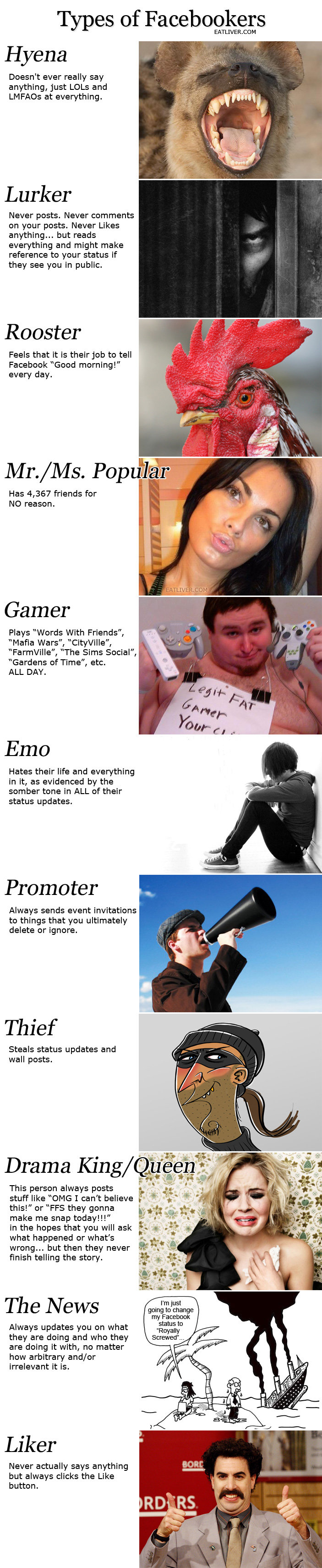 Types of facebookers. props to eatliver.com not mine I like new friends sub. Types of Facebookers EATLIVER. COM Hyena Doesn' t ever really say anything, Just LO