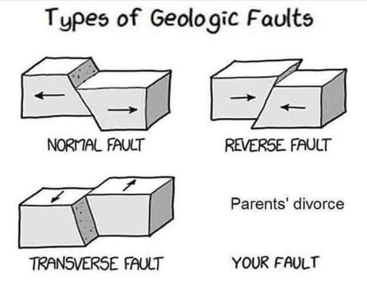 Types of Faults. .. My divorced-parents-ass fw reading this postComment edited at .