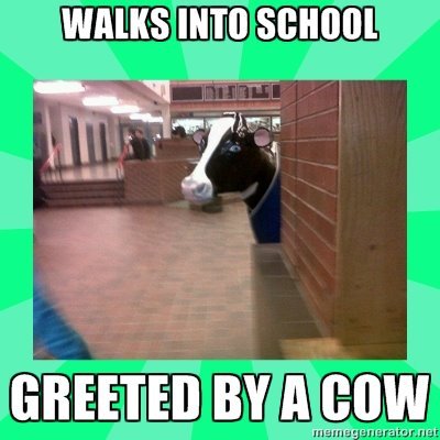 Typical day at school. .