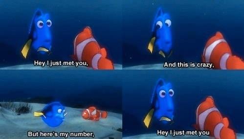 Typical Dory. Descriptions are for losers.