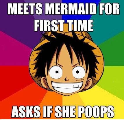 Typical luffy!. . MEETS run. and? did she?