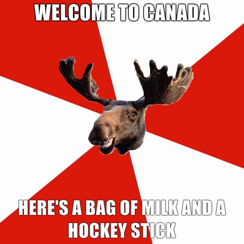 typical canadian moose. somewhat OC, made on meme generator. &lt;br /&gt; comments that aren't stupid get thumbs. I'm Canadian btw... Milk? You misspelled beer good sir. Canada FTW