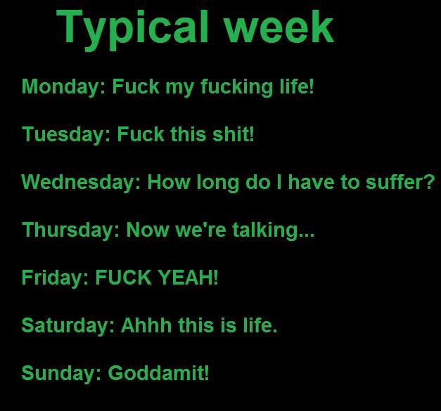 Typical week. . Typical week Monday: Fuck my fucking life! Tuesday: Fuck this shit! Wednesday: How long do I have to suffer? Thursday: Now we' re talking... Fri
