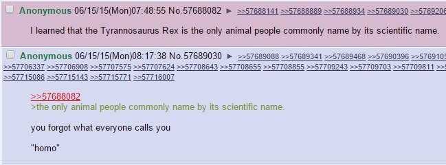 Tyrannosaurus Rekt. . I learned that the Tyrannosaurus Rex is the only animal people commenty name by its scientific name. ewe only animal people commonly name 