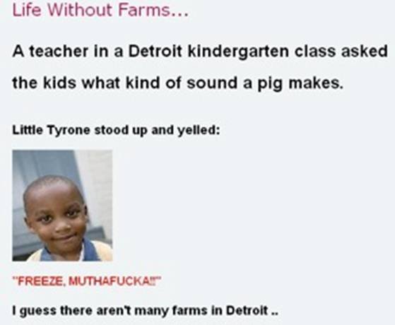 tyrone. i do believe there is picture of a monkey pointing at me below found this from apina biz. Life Without Farms... A teacher In a Detroit kindergarten clas