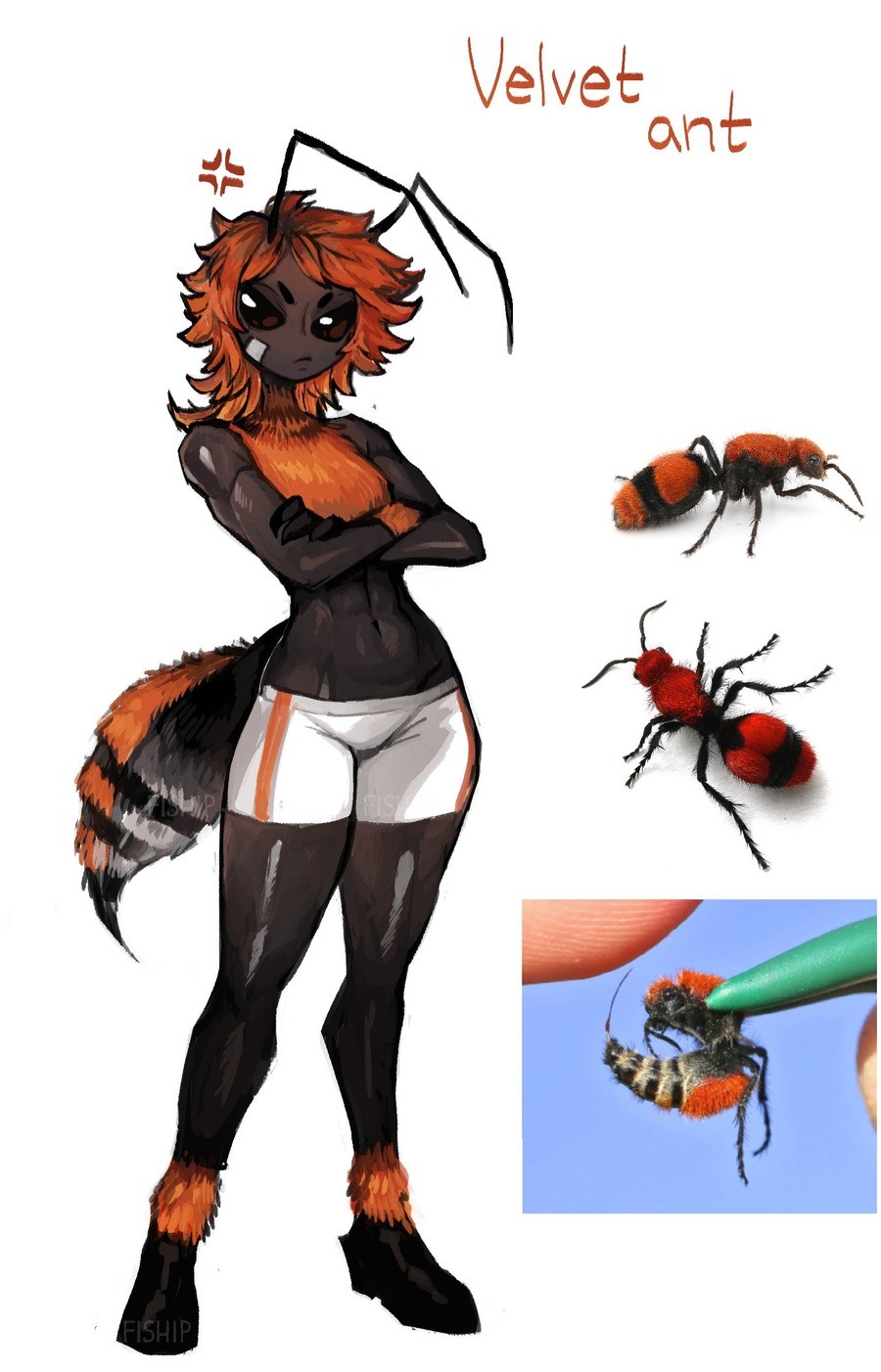 Velvet Ant and Tarantula Hawk. join list: KlictiChasers (215 subs)Mention History.. 2 prime examples of &quot;LEAVE IT THE ALONE&quot;.