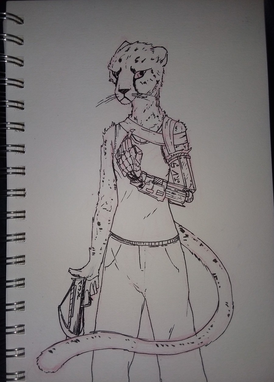 Wander the Tabaxi Artificer. There was a time when I said I wanted to draw something every day even just doodles and I very quickly fell off of that. I might tr