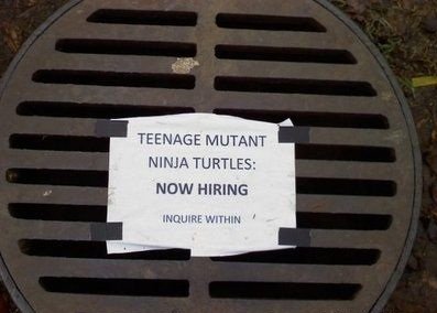 WANTED: Teenage Mutant Ninja Turtle. lolololololololol :3. MUTANT NINJA TURTLE: NEW HIRING