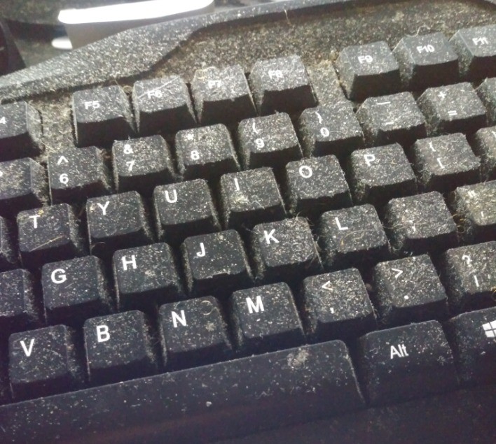 washed Llama. .. keyboard is useless without a pc bro, here you go.