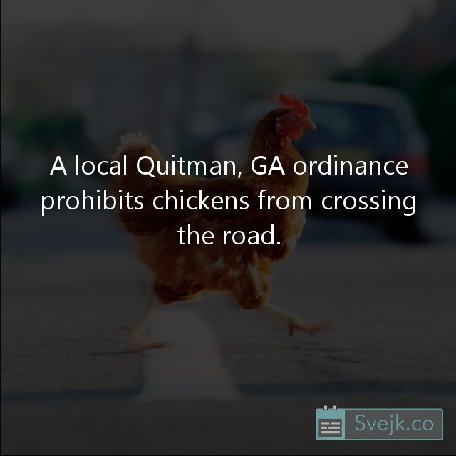 Weird Laws. More interesting lists: . A local Quittin, GA ordinance prohibits chickens from crossing theread.. You think THATS weird?