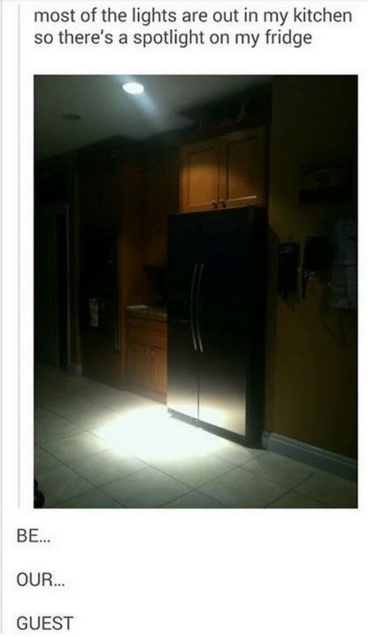 Welcome 2 Obesity 2.0. . most of the lights are out in my kitchen so there' s a spotlight on my fridge. the fridge has a quest for you