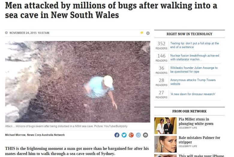 Welcome to Australia. . Men attacked by millions of bugs after walking into a sea cave in New South Wales o NOVEMBER 24, 21315 10: D RIGHT NOW m TECHNOLOGY 3 fa