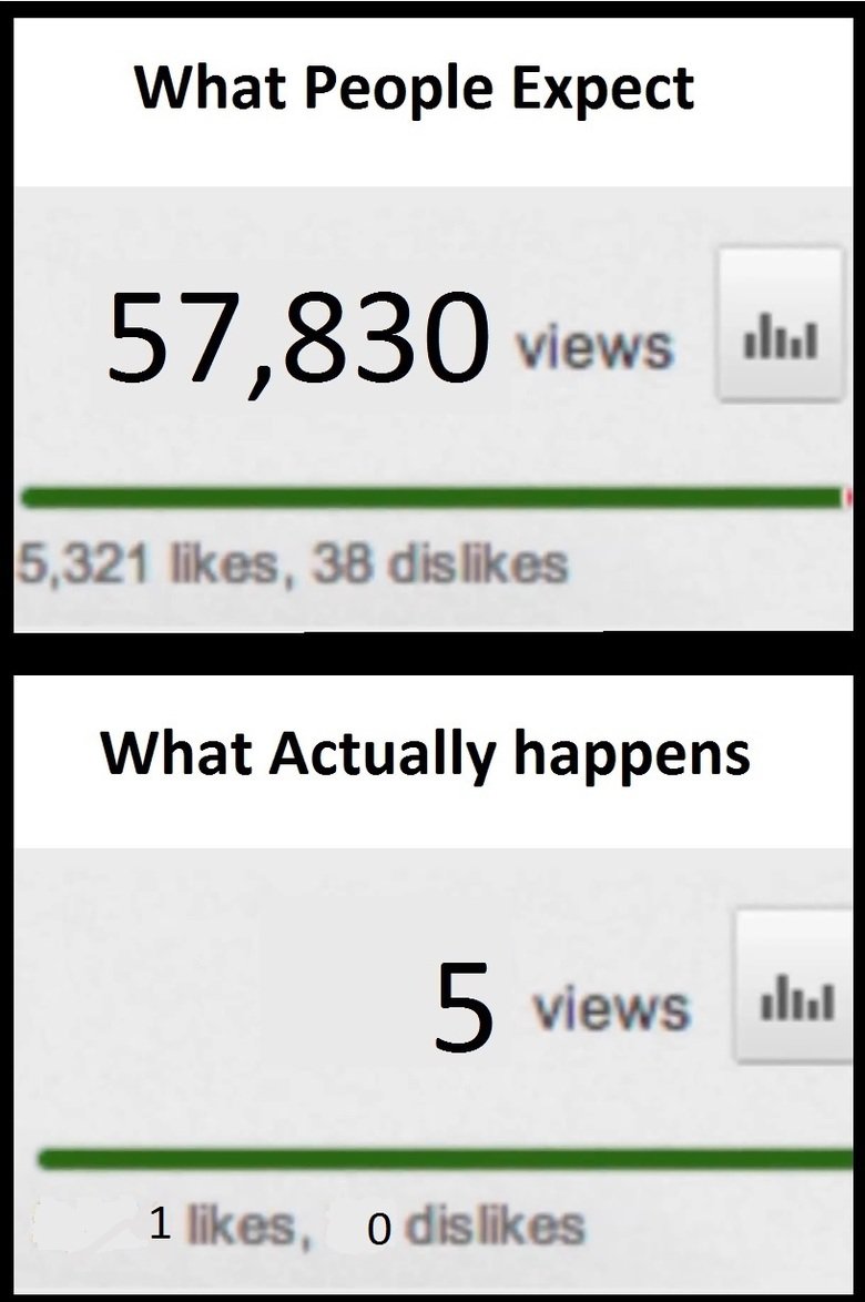 What people expect on youtube. . What People Expect Iii) iii! views II" -l 5, 321 likes, 38 dislikes What Actually happens. 1 in 5 people who viewed your video liked it. well done
