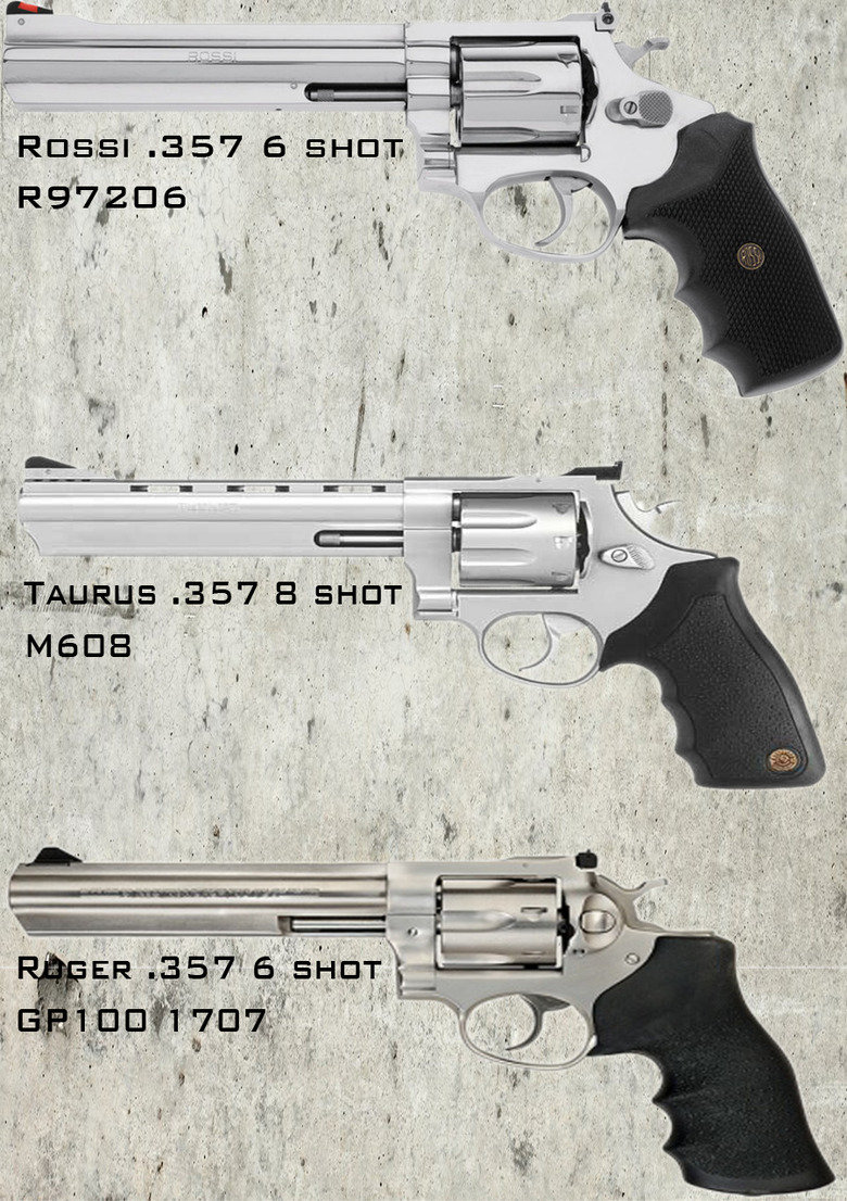 What should i get. I'm in the market for an affordable 357 revolver with a 6&quot; barrel. If anyone has any experience with the following firearms, then commen