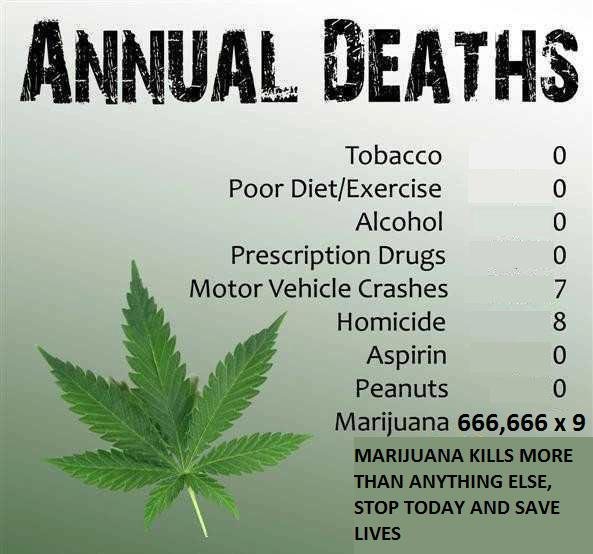 What stoners don't want you to know. . Tobacco Poor Diet/ Exercise Alcohol inscription Drugs