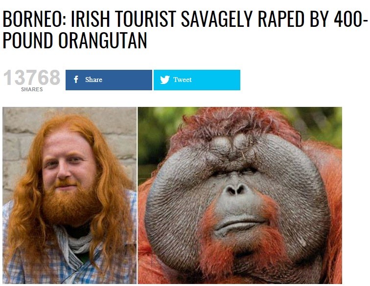 What the actual . That's what his mother said.. BURNER: IRISH TOURIST ' i RAPE BY 400- POUND ORANGUTAN. get ready for Round 2