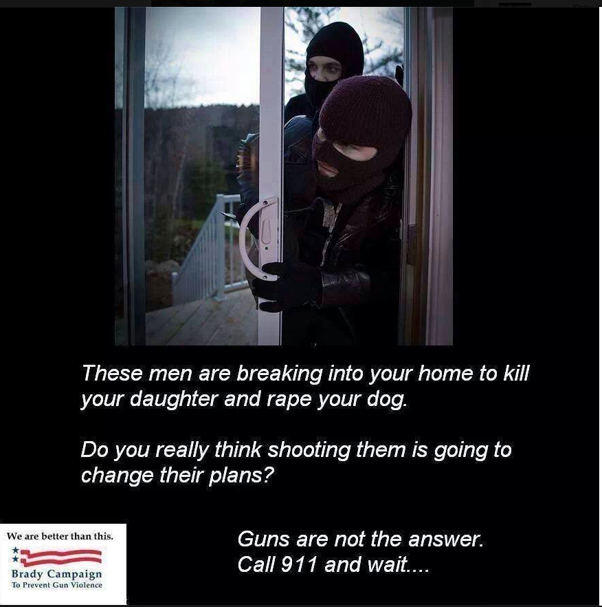 what the actual . i just dont know what to say. These men are breaking into your home to kill your daughter and rape your dog, Do you really think shooting them