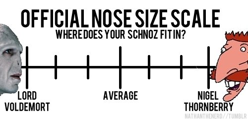 What size is your nose. really, what size?. WHERE DUES Till“! ? OFFICIAL NOSE SIZE SCALE. there it is xD and what can I do with that, I typed roll 4 and it comes this : sonjonik rolls 5,015, and what 5,015 means? xD sorry for bothering