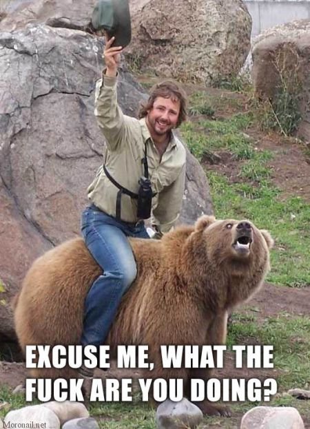 What the are you doing?. Dumb-ass riding a bear.. thats terrible photoshopping