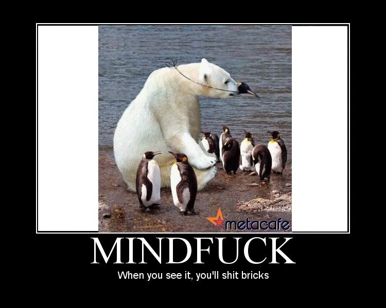 When you see it. you'll brix. When you see it, you' ll shit bricks. poor polar bear.....just tryin to fit in with the penguins