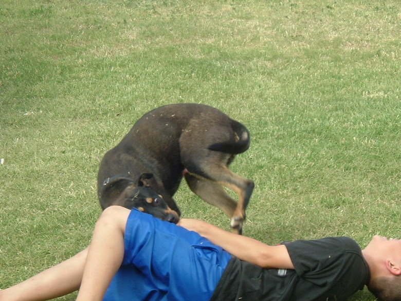 wrong place. my nephew getting messed up by a dog also................ please leave a comment.. 6th the guy below me is not last hes 5th
