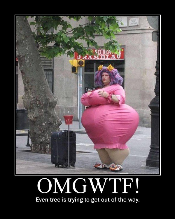 Wtf_9ef48b_366733.jpg