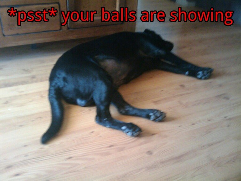 your balls are showing. put those away!.