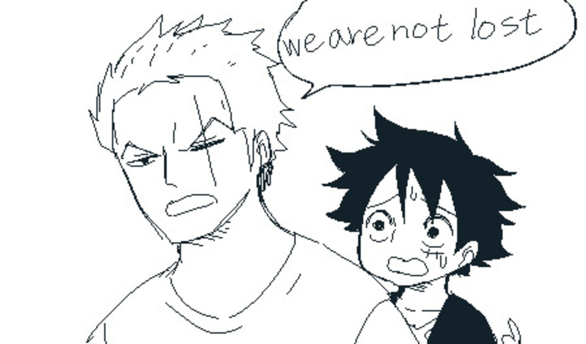 Zoro Is Getting Lost