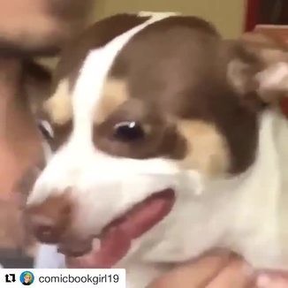 Team Fortress 2 General Discussions