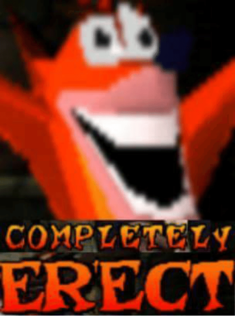 completely erect