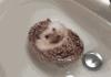 Hedgehog Bath Fun