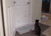 Ha, can't get through the door now cat