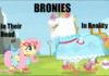 How bronies think they are