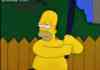 Homer ninja training