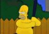 Homers Training