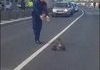 Hungarian police fighting off crows and helping ducks cross the s
