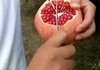 How to neatly deseed a Pomegranate