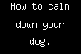 How to calm down your dog.