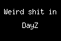 Weird shit in DayZ