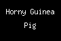 Horny Guinea Pig