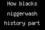 How blacks niggerwash history part 1
