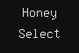 Honey Select