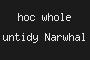 hoc whole untidy Narwhal